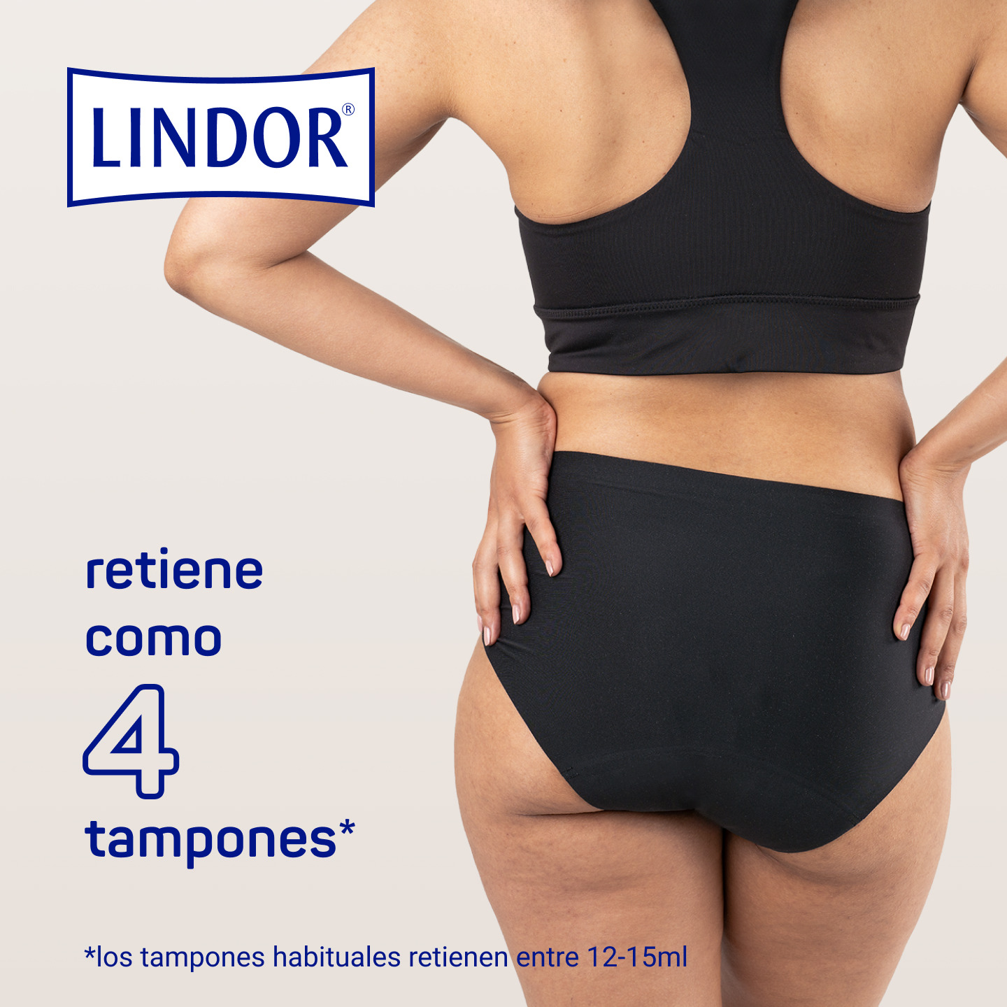 Detalle de la zona absorbente integrada